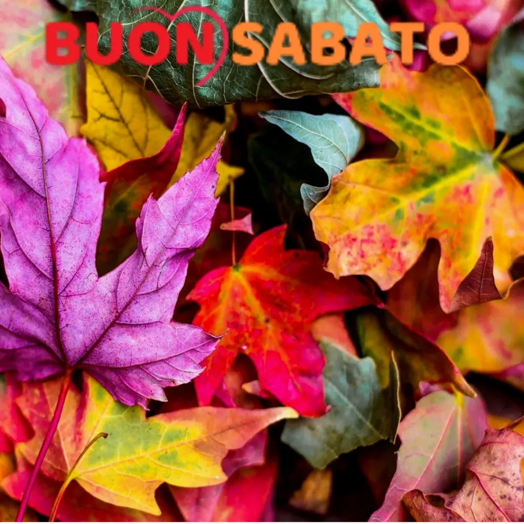 buon sabato autunnale immagini