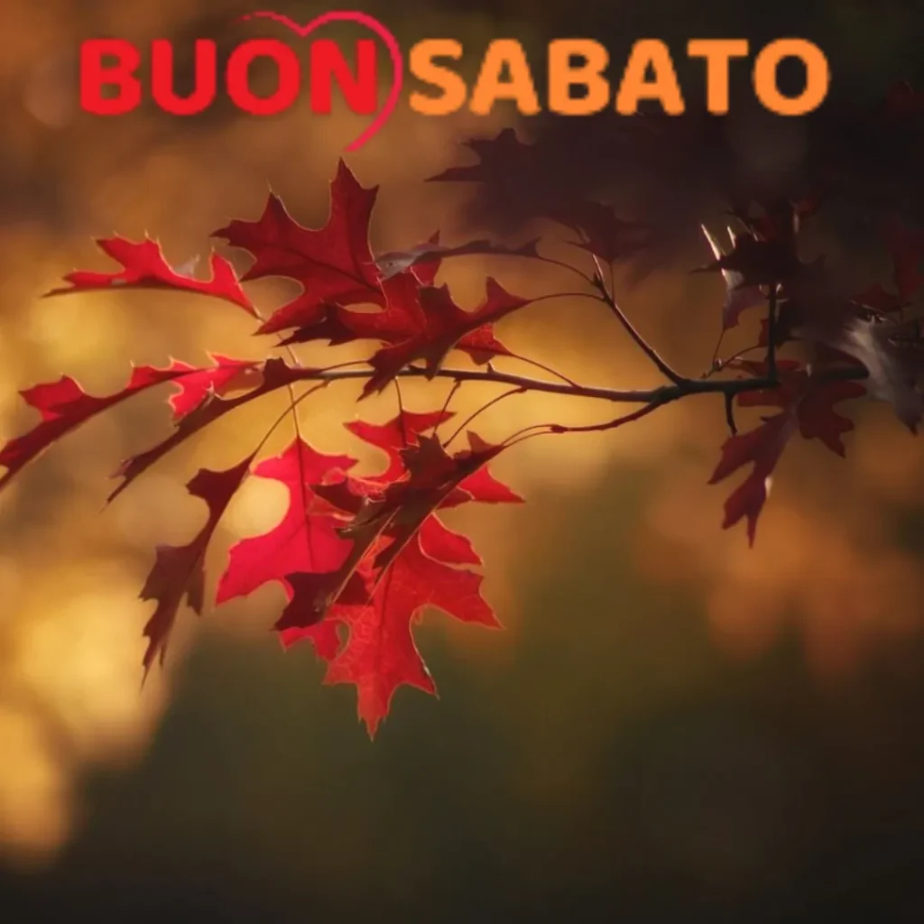 buon sabato autunnale immagini