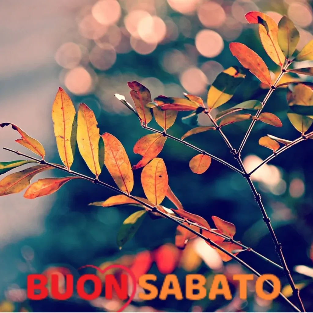 immagini buon sabato pomeriggio autunnale