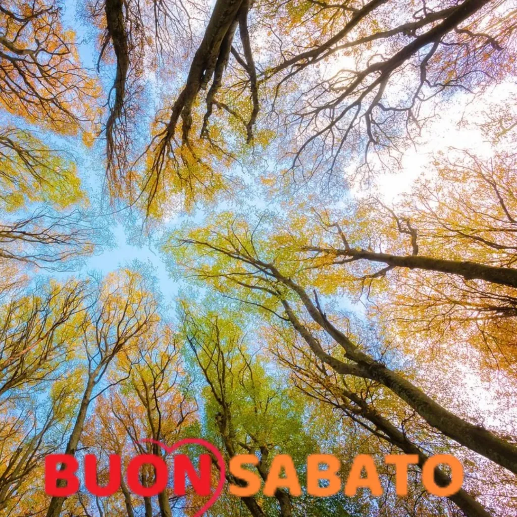 immagini buongiorno e buon sabato autunnale