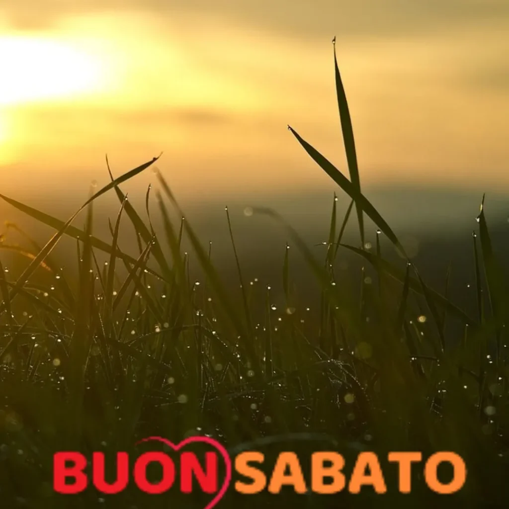 Come trascorrere un sabato produttivo