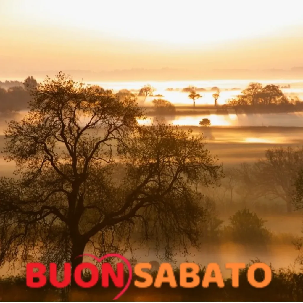 Auguri di buon sabato per i social media