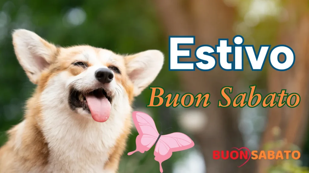 Buon Sabato Estivo