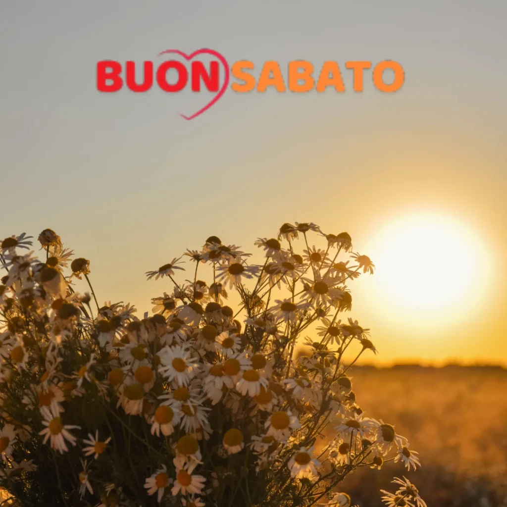 buongiorno buon sabato buon fine settimana