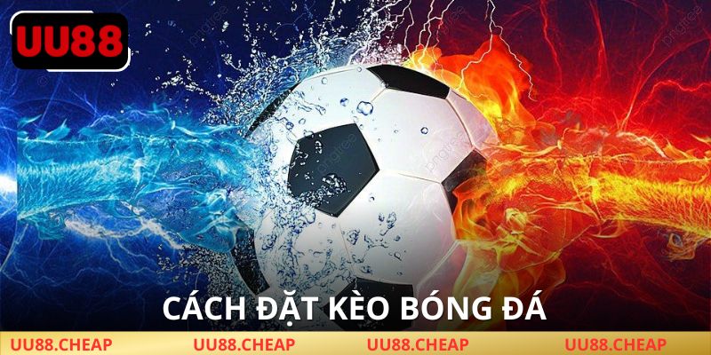 Từng bước tham gia cá độ bóng đá