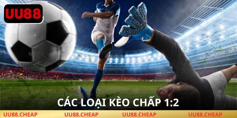 Phân tích tỉ lệ, tăng cơ hội thắng