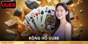 Rồng Hổ UU88