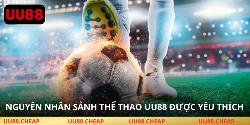 Kèo đa dạng – Tỷ lệ cao – Trực tiếp sắc nét